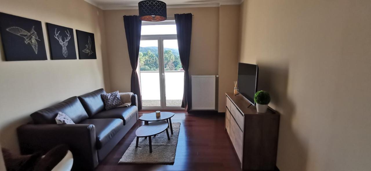 Moser Apartment Carlsbad Karlovy Vary Ngoại thất bức ảnh
